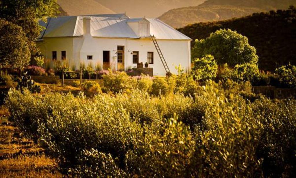 Vrisch Gewagt Boutique Self-Catering Olive Farm Guest House Prince Albert Exterior photo
