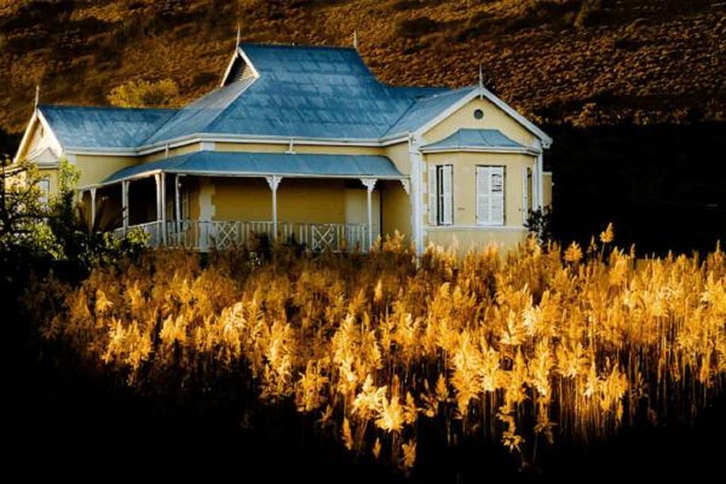 Vrisch Gewagt Boutique Self-Catering Olive Farm Guest House Prince Albert Exterior photo